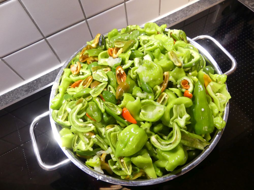 Gemeinschaftsgarten 2023